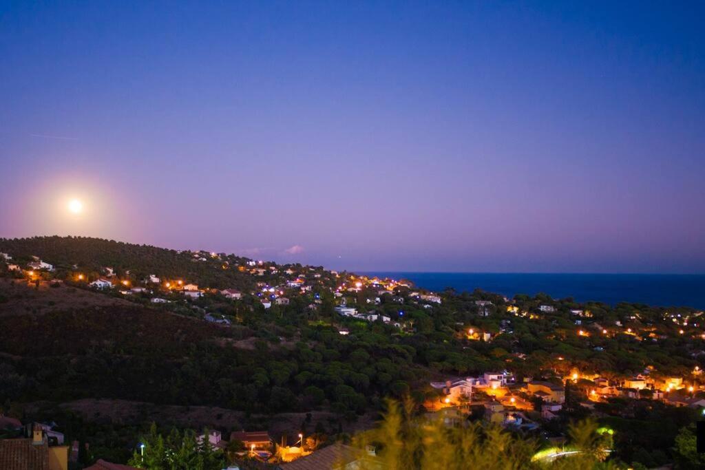 Lord of Sainte-Maxime - 2