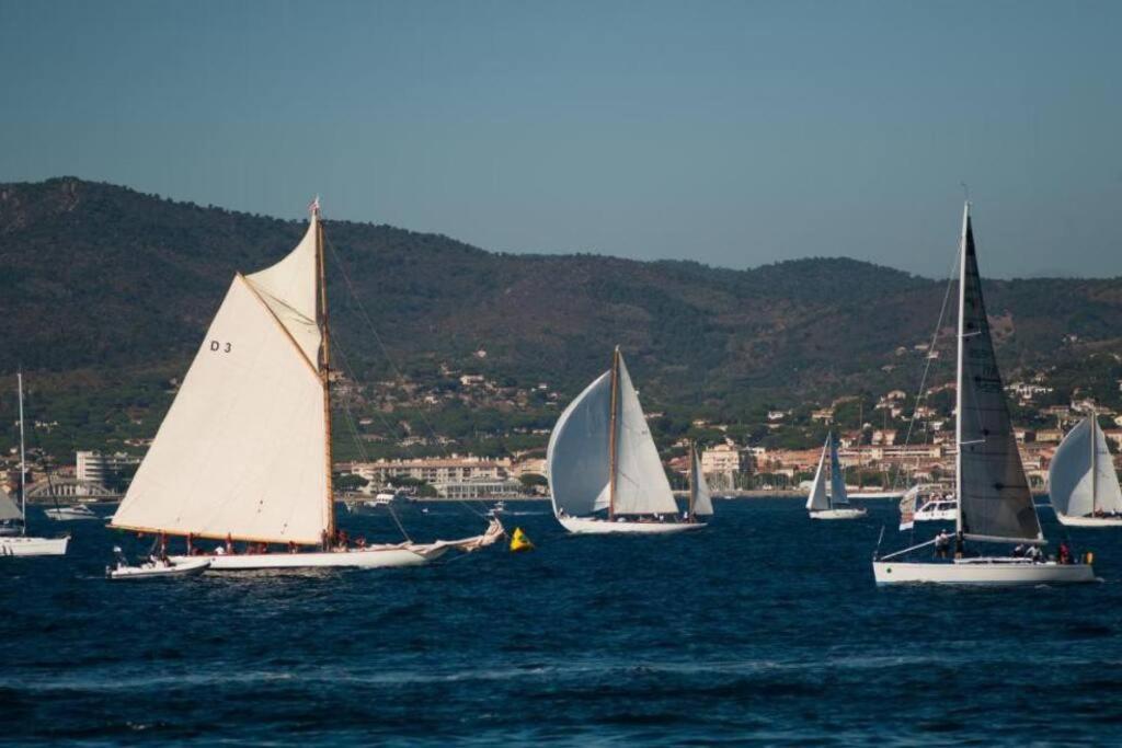Lord of Sainte-Maxime - 5