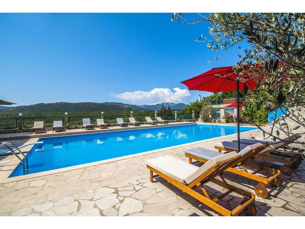 Villa Krnic Olimpic Pool photo