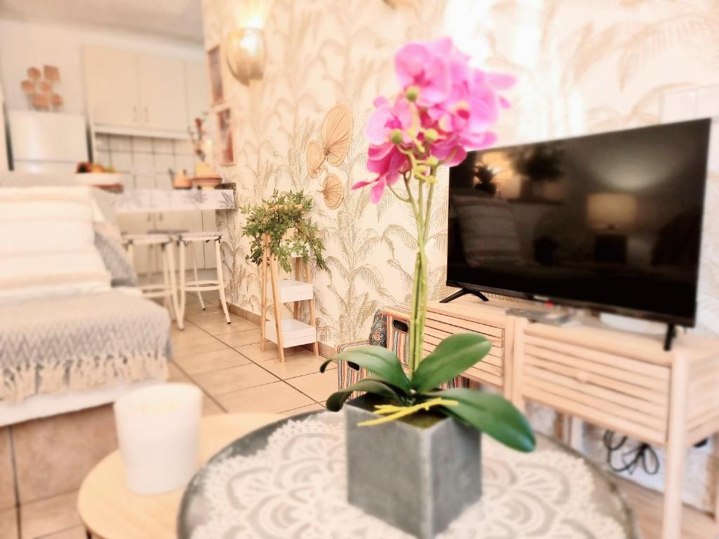 Apartamento Tropical en playa del inglés - 4