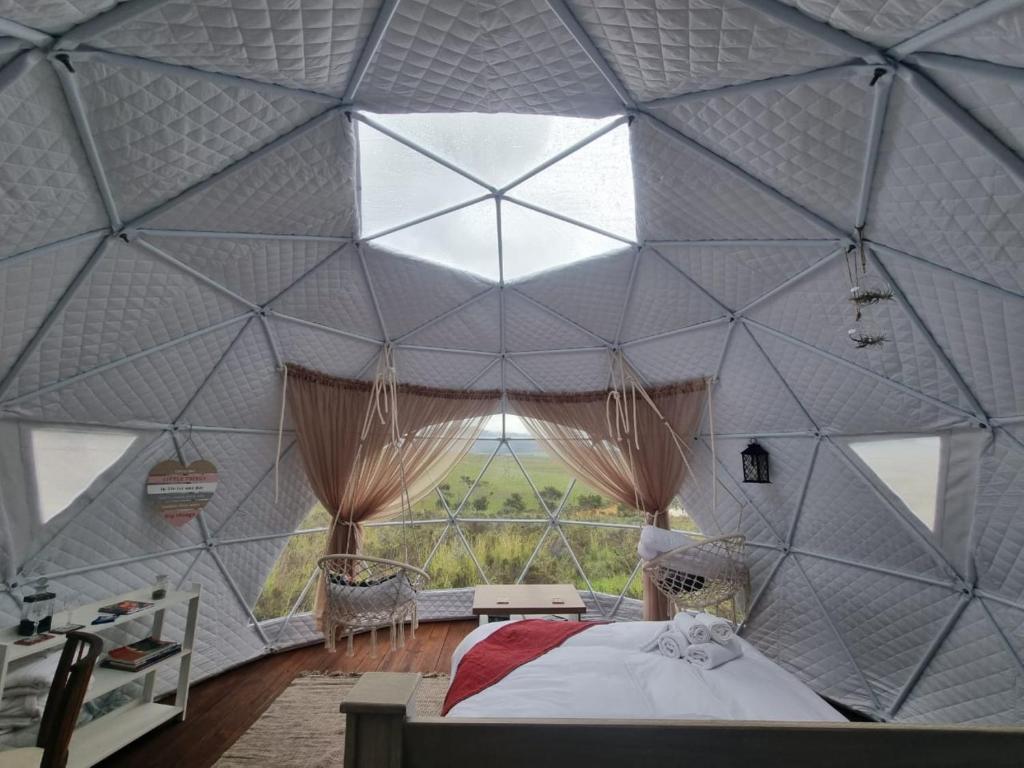 Pom Gratz - EcoDomes, Hartebeesrivier