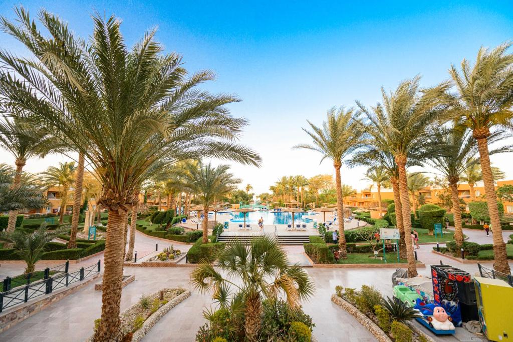 スイミングプール