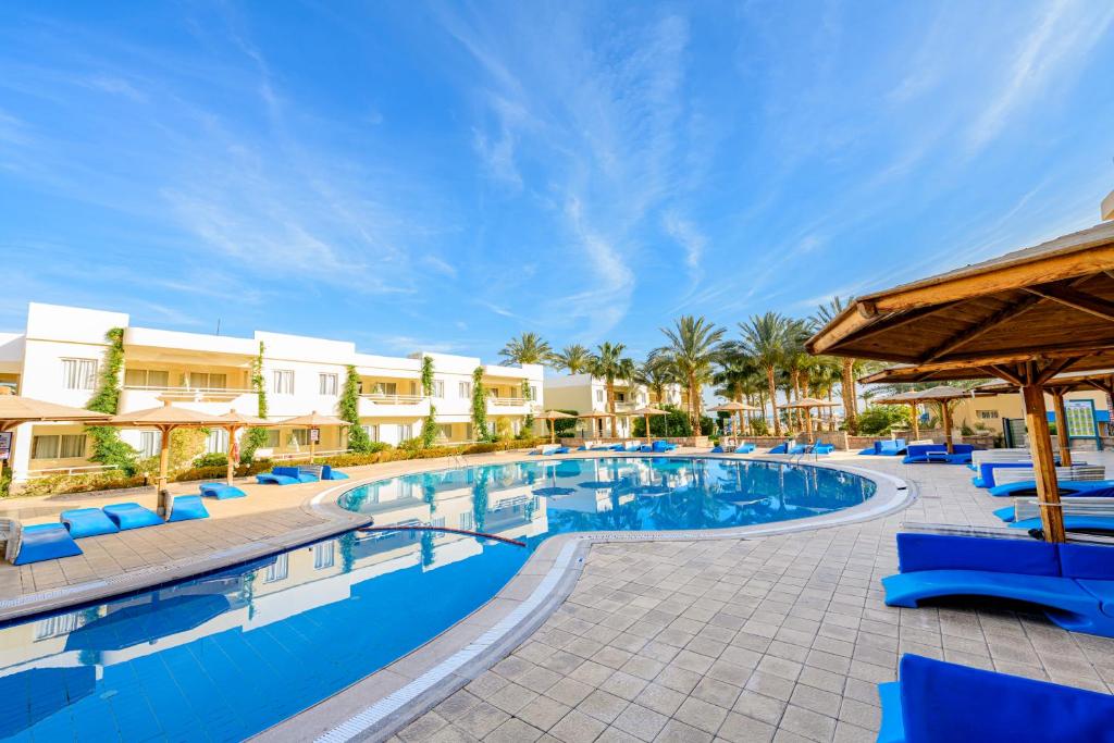 スイミングプール