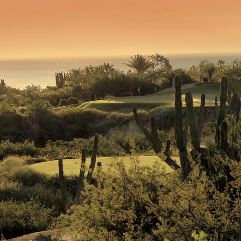 Surrounding environment