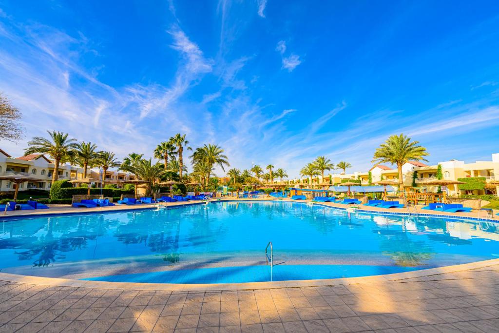 スイミングプール