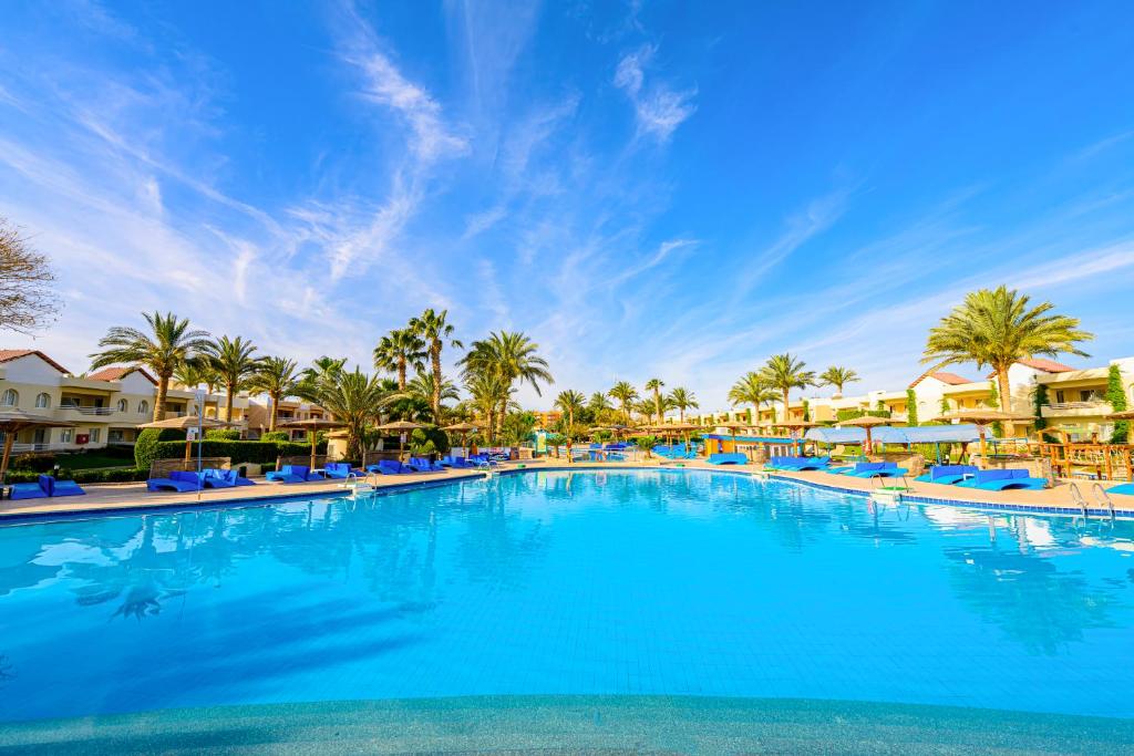 スイミングプール