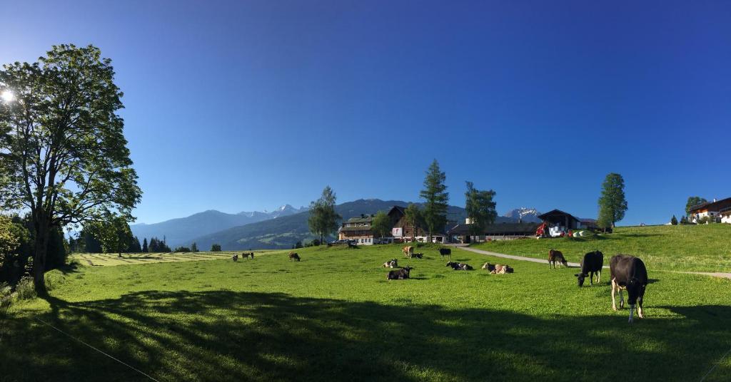 Burglehnerhof - 5