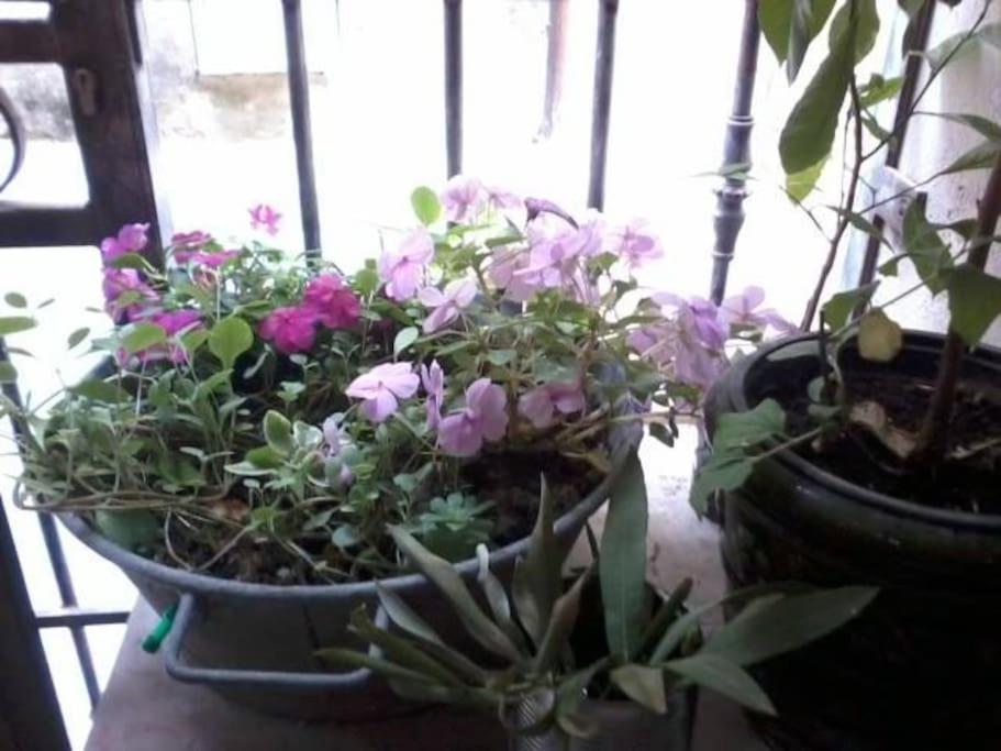 Appart' Cosy Beaucairois, Beaucaire