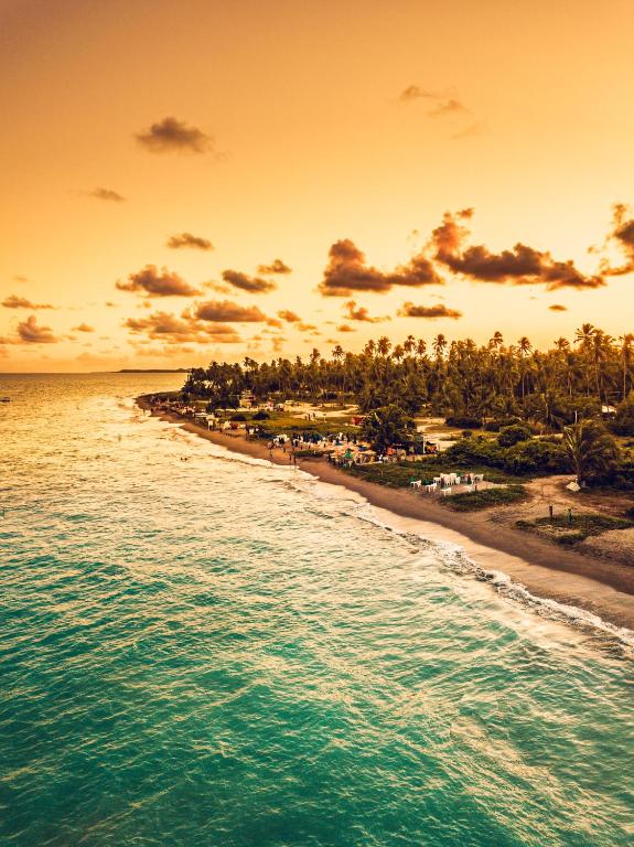 Surrounding environment