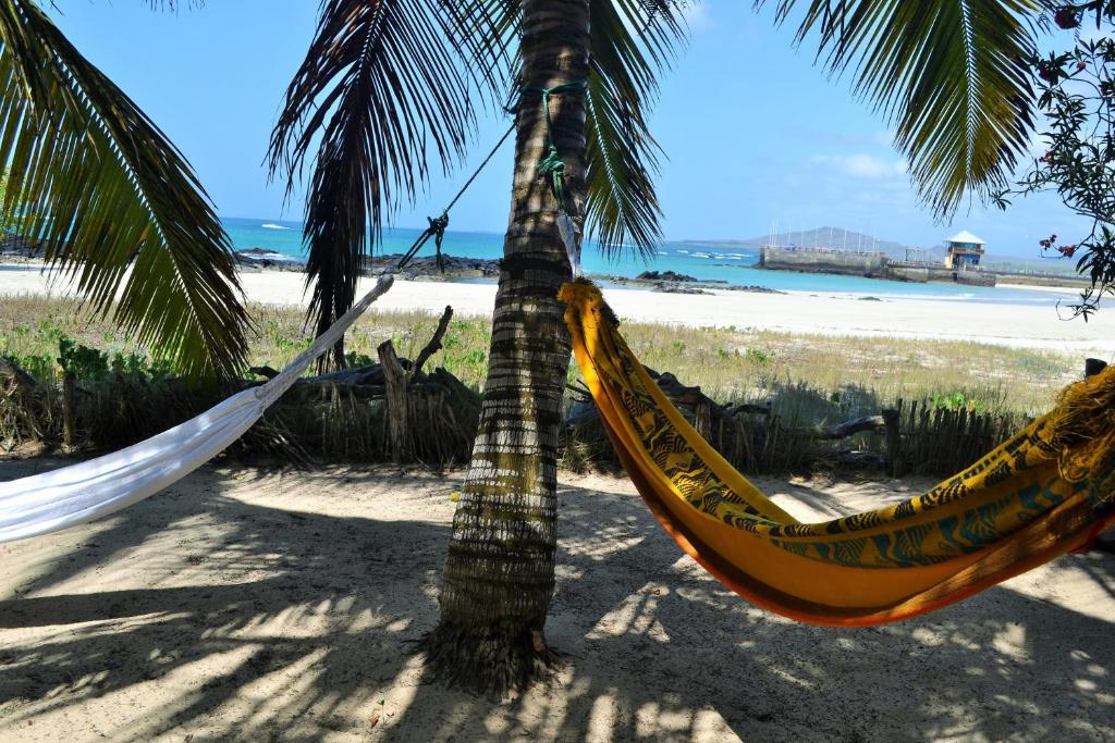 The Isabela Beach House photo