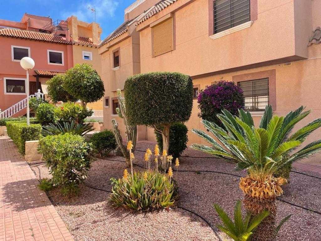 Apartament La Mata Torrevieja - 4