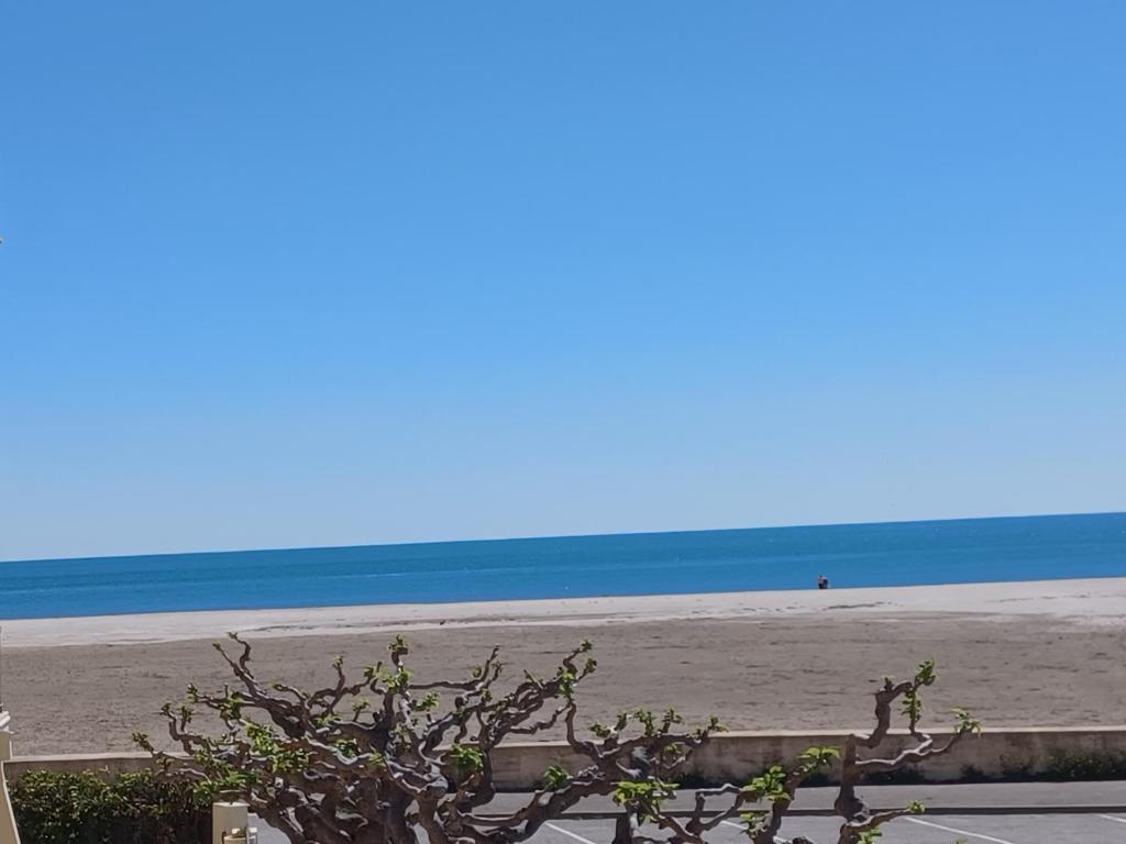 Superbe appartement avec vue sur le port et plage - 5