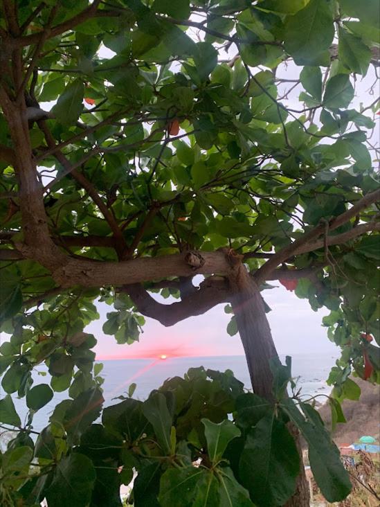 La Coral Beach House photo
