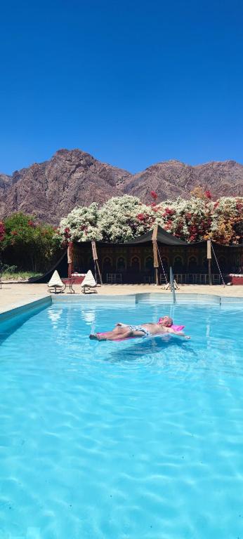 Auberge Kasbah Chez Amaliya — Hotel in Tafraout