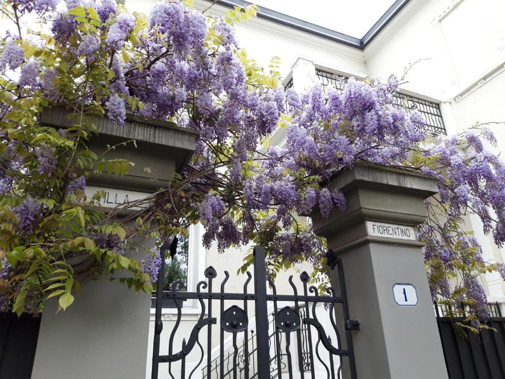 Villa Fiorentino - 2