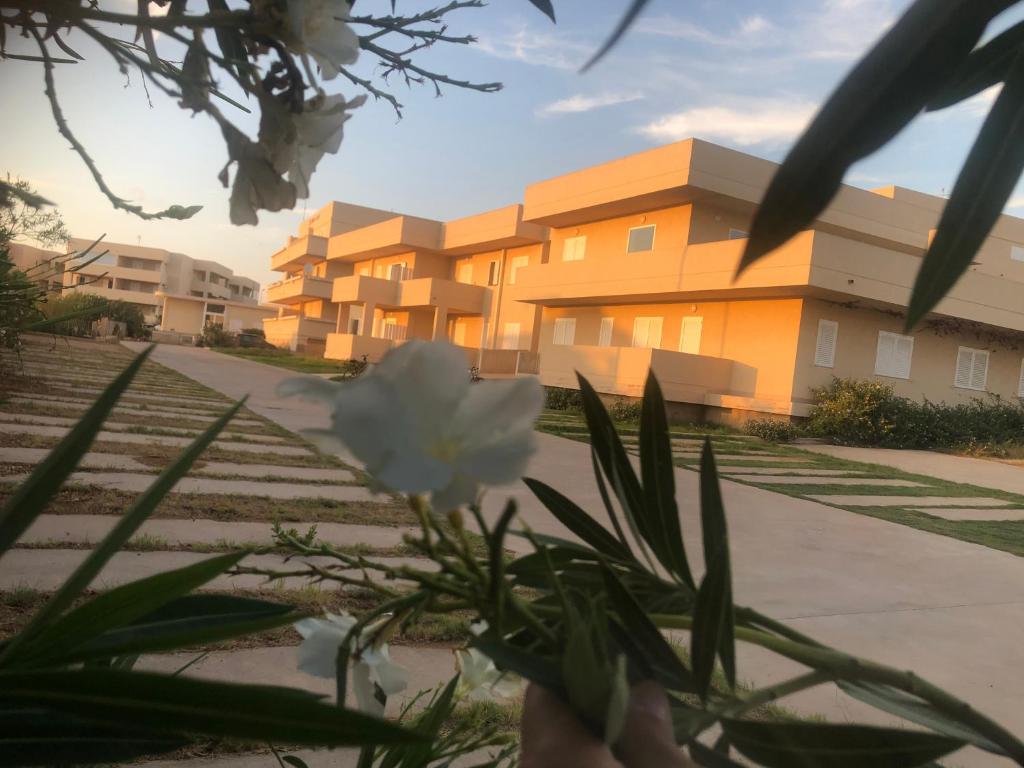 Residence Romeo - 1