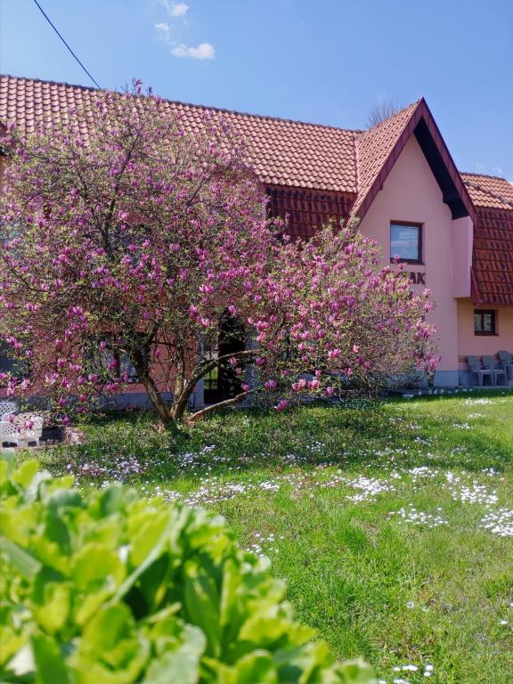 Apartman Kutak Nesic photo