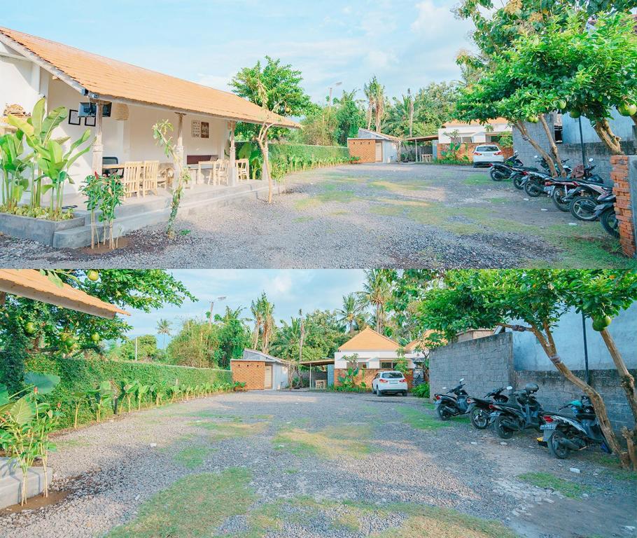 Odika Lovina Houses and Villas