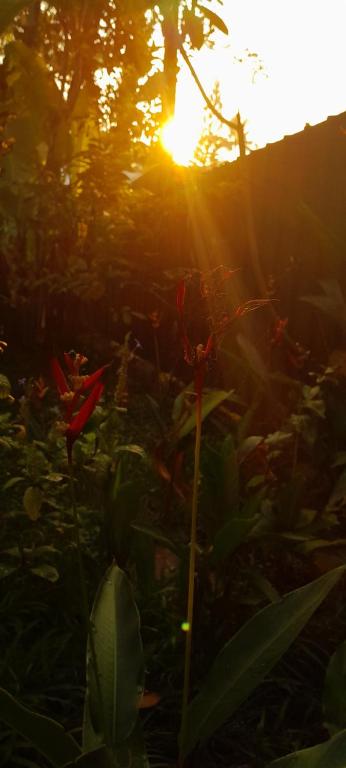Marari Babu Homestay photo