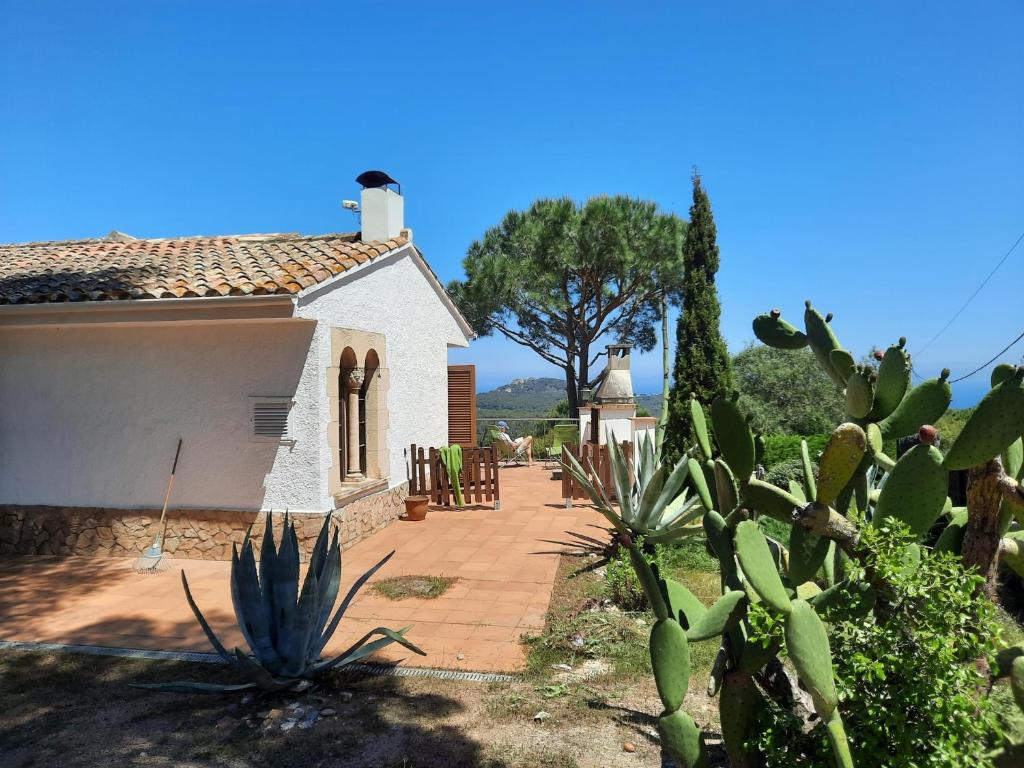 Dalí - 3