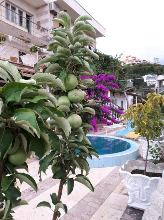 Apartman LOKI - 2