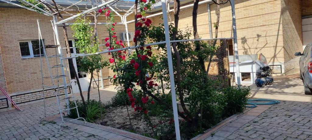 Hostel Muborak, Samarkand