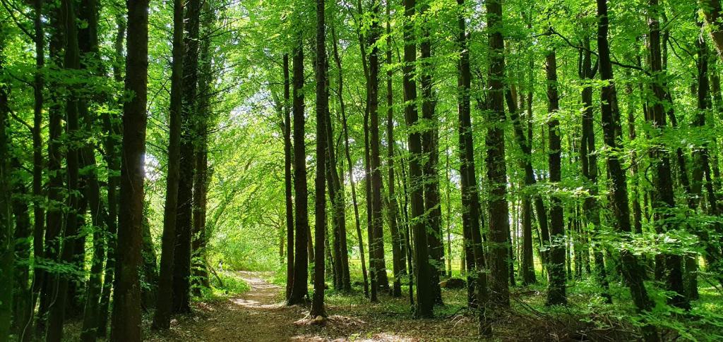 Surrounding environment