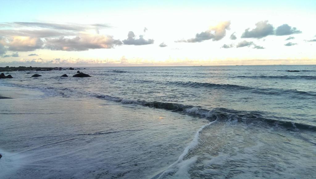 Woodenfish, Chenggong