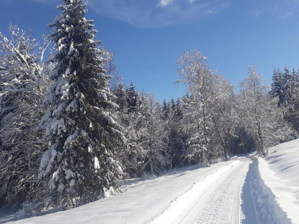 Apartment for 2 adults and 2 children near a ski resort in the Black Forest