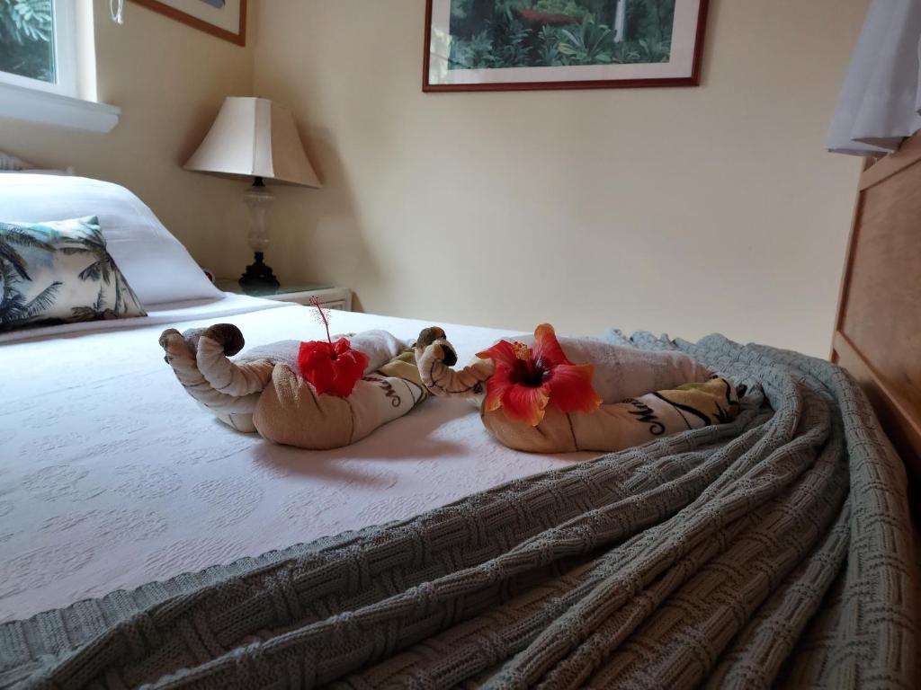 Paradise Cottage at Anthurium Hale photo
