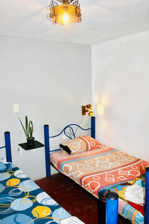 Hostal Musica y Arte photo