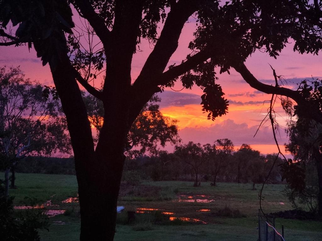 Sport és szabadidő