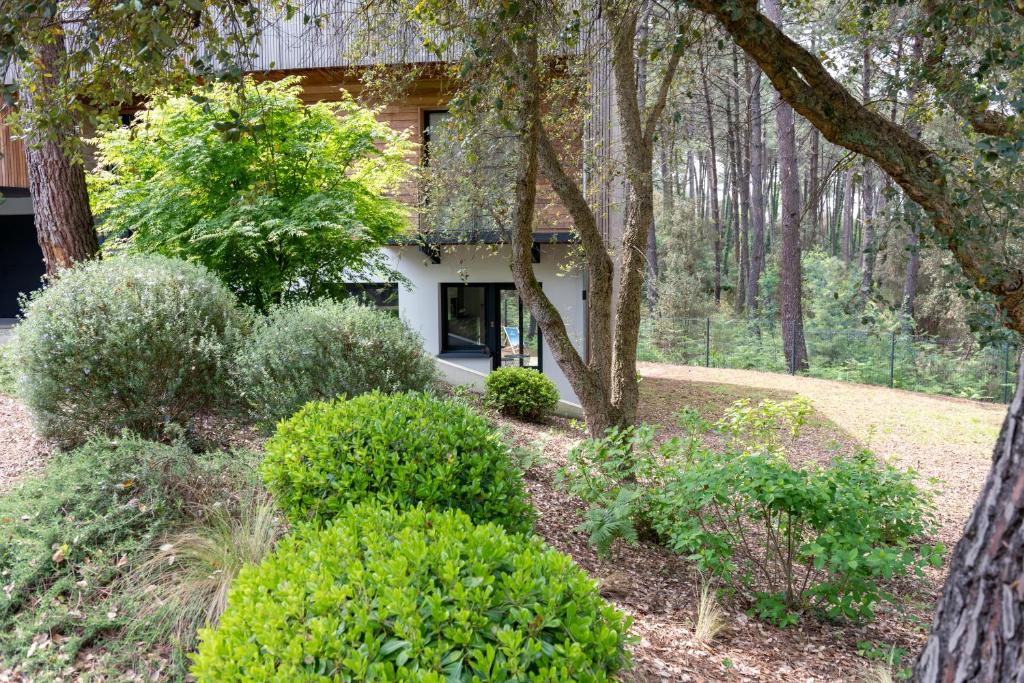 Agen - Location appartement 4 personnes à hossegor, Soorts-Hossegor