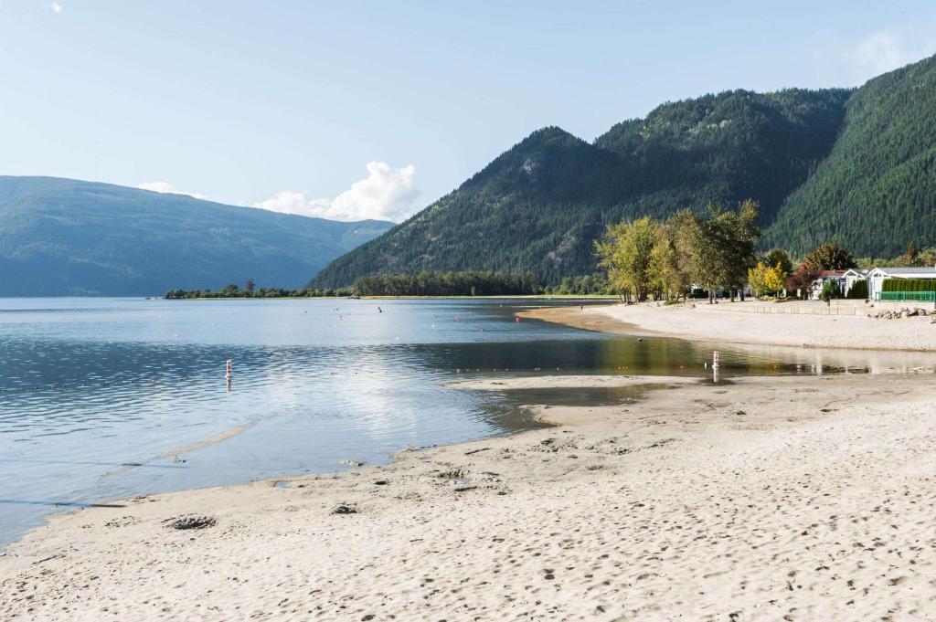 Super 8 By Wyndham Sicamous photo