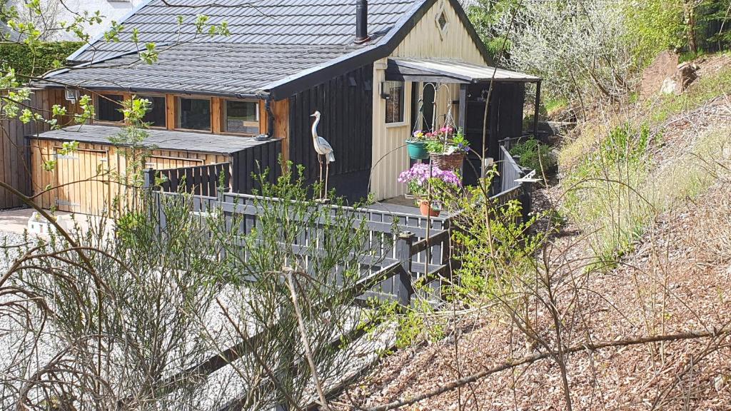 Herons Rest photo