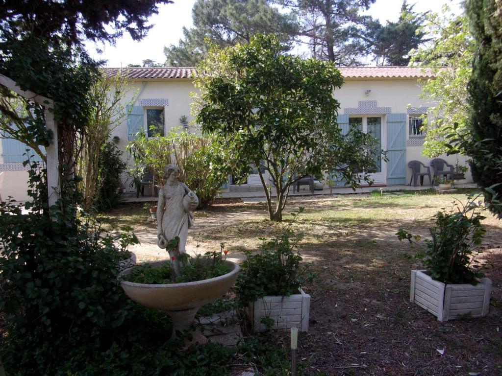 mas des pins - 1