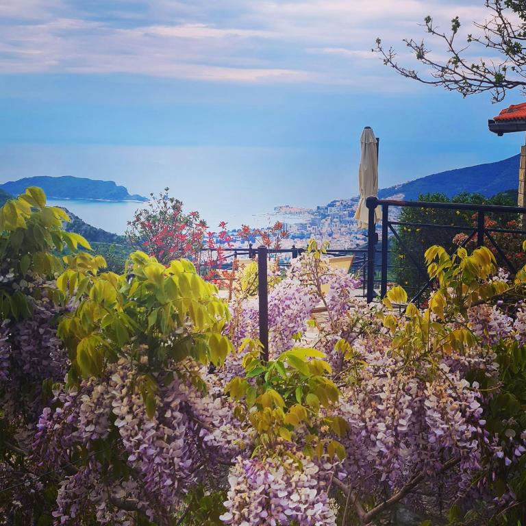 Villa Nera photo