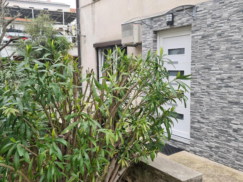 Apartman Nika, Crikvenica