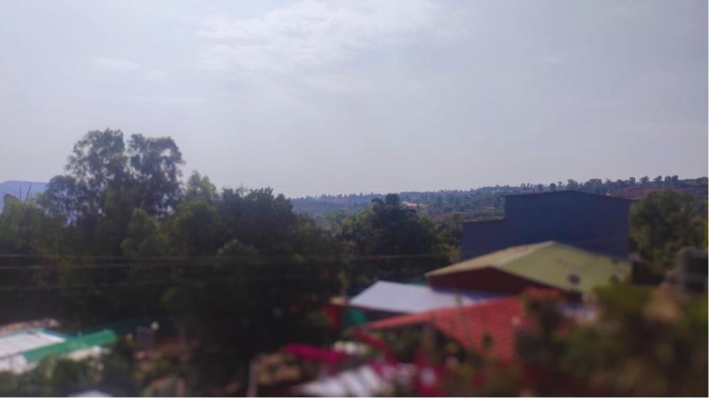 Strawberry County photo