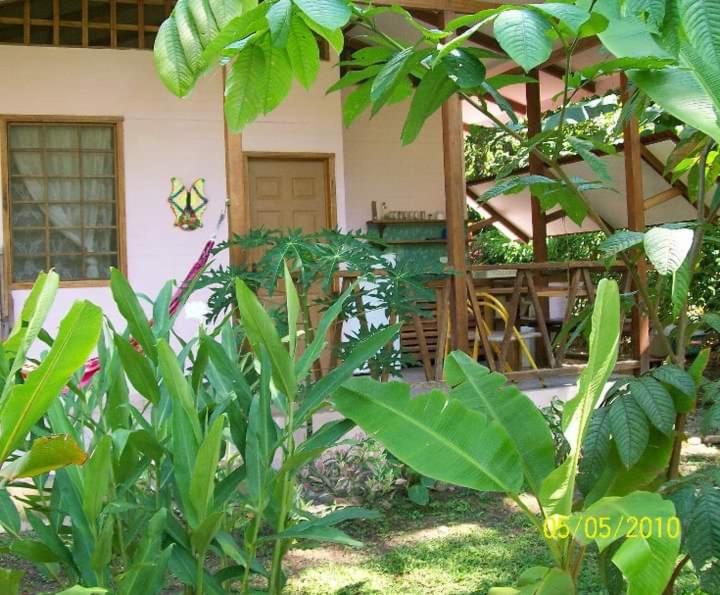 Luna Caribena Village photo
