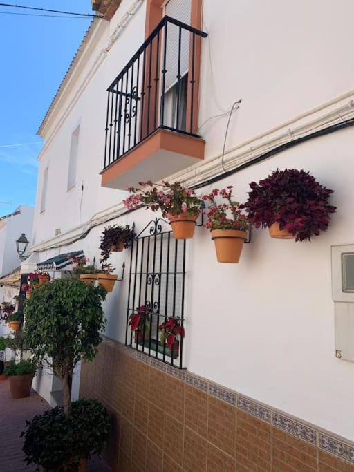 Stylish Beachside House 50 m from the sea ! - 2