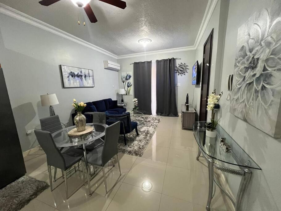 Entire Apartment with Pool near AC Marriott Hotel in Kingston, Kingston