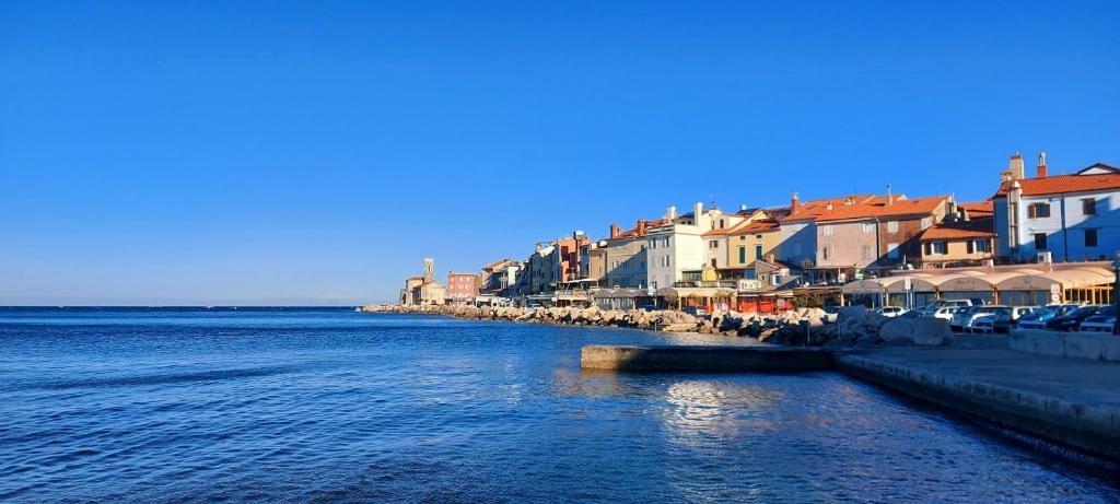 Apartment Sulle scale, Piran