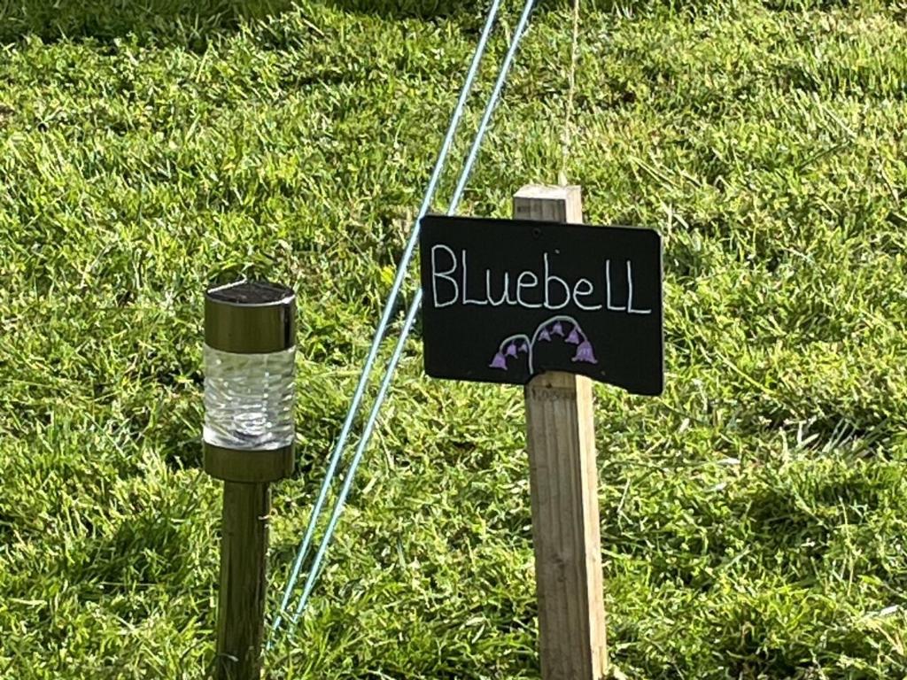 Willow glamping, Norwich