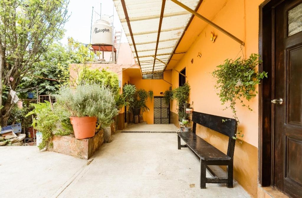 Casa Huitzilin - 3