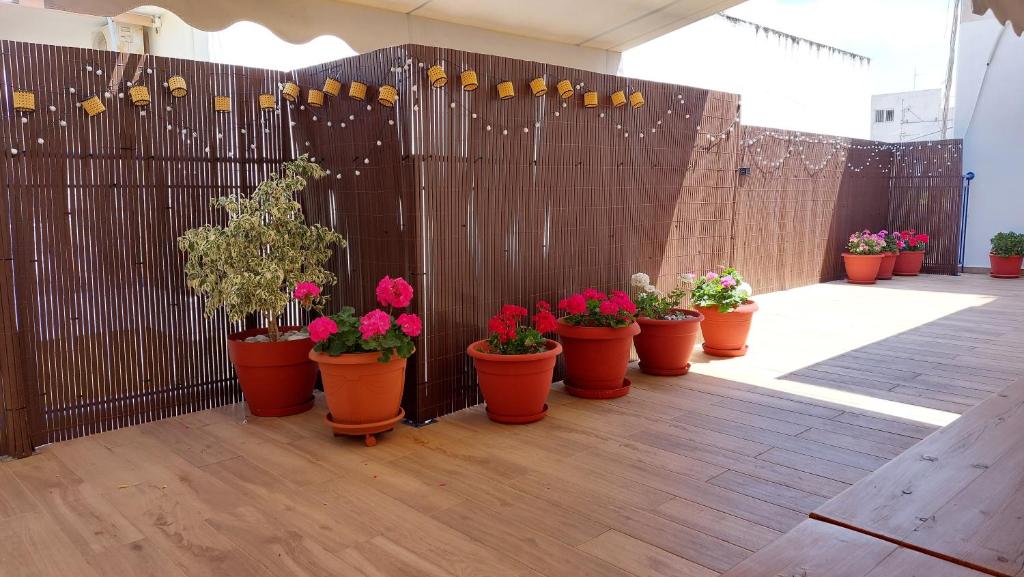 Central Apartment Near The beach with huge private terrace photo