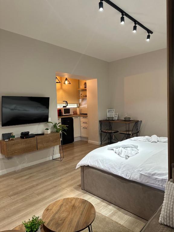 4SeasonsGea , Deluxe Studio , City Centre , Tirana — Hotel in Tirana