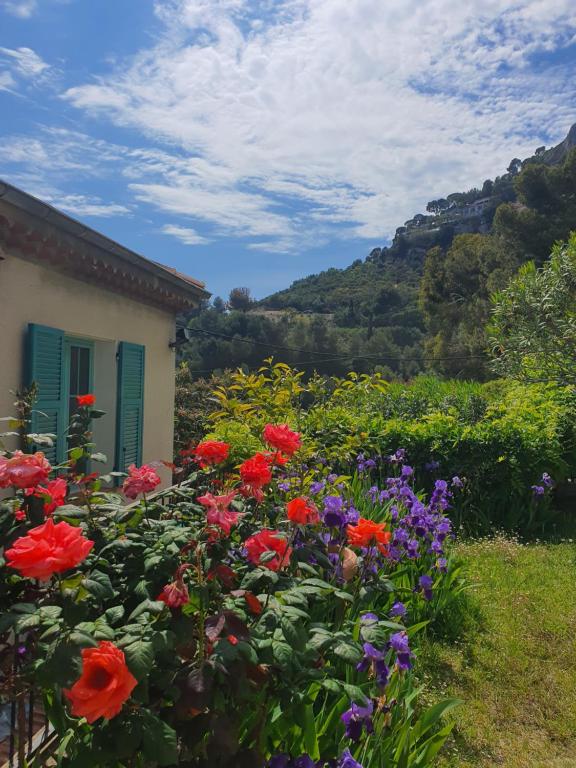 Villa Moana - 5