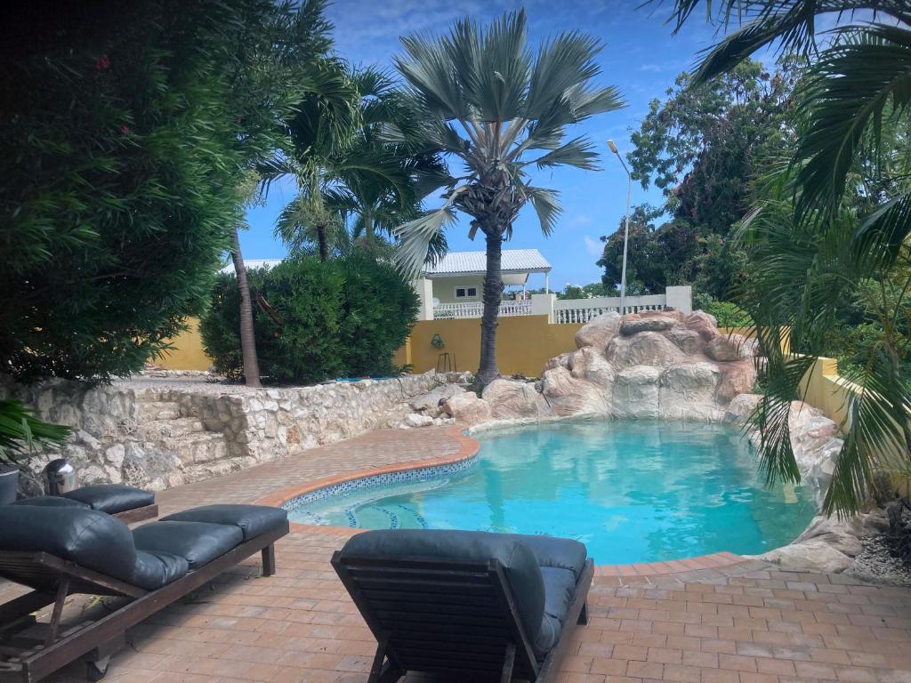 Studio Matua, Willemstad