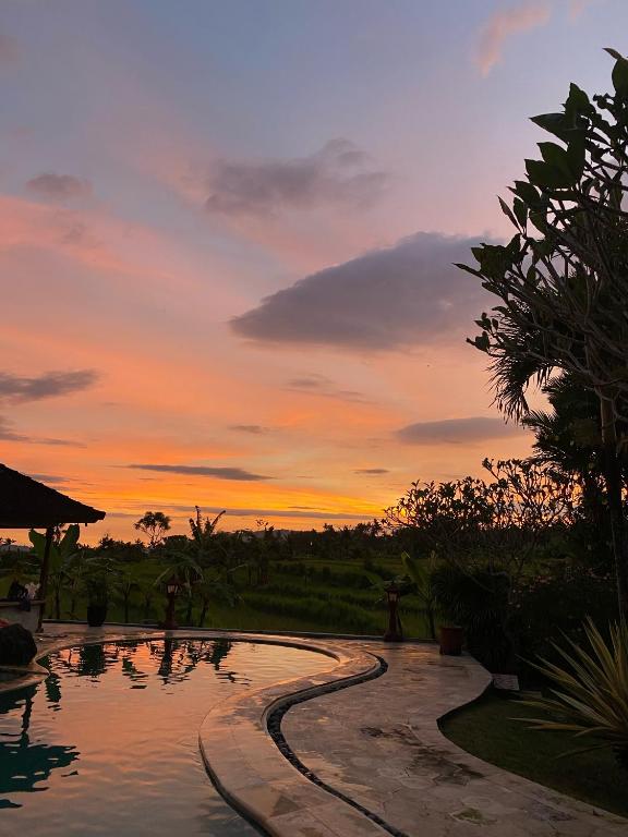 Cabe Bali Bungalows photo